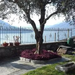 Casa Matilde