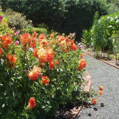 Boat Harbour Garden Cottages