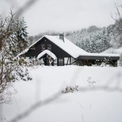 Romantikhütte Neuastenberg