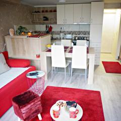 Apartment Kamencic