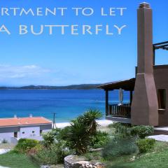 Villa Butterfly