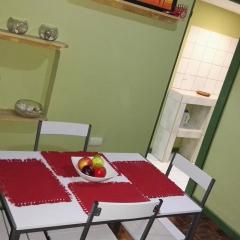 Beautiful Apartment San Jose Downtown 5