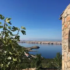 Apartment Stinica 31b