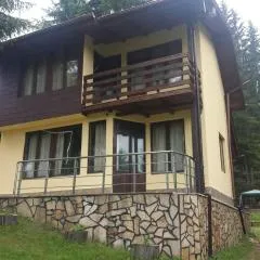 Вила Мерджан