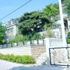 Apartment 51