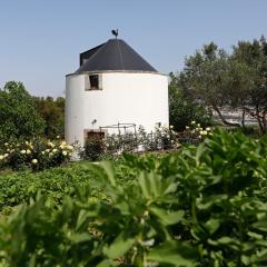 Olá Belém! Cozy Windmill, Stunning views to Lisboa