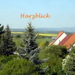 Ferienhaus "Harzblick"