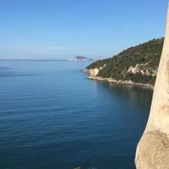 "Il nespolo"