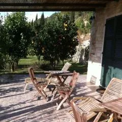 Agriturismo La Rocca di Perti