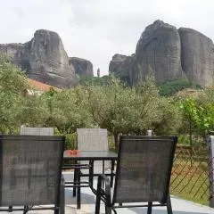 Olive Grove