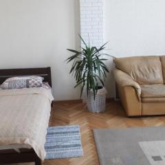 Apartments on Arkhypenka Street