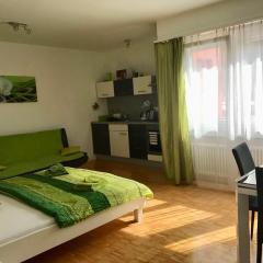 Apartment al Lido Ascona