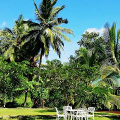 Rajarata Lodge