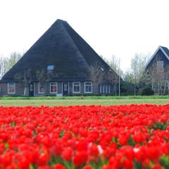 B&B Idylle aan Zee incl 2 Wellnessstudios