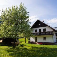 Pr' Kovač apartments