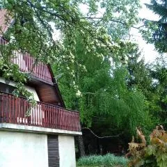 Holiday house Nature