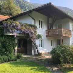Ferienhaus am See