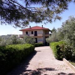 La Foresteria- Azienda agricola Garra