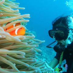 East Lombok Dive Hotel - 3 private rooms on the beach with seaview & scuba diving center