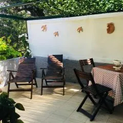 Il Giardino Segreto