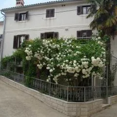 Apartments Renata - Brseč