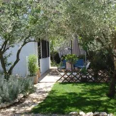 Apartments with garden
