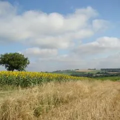 Villa Des Marronniers