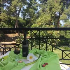 Villa Elani