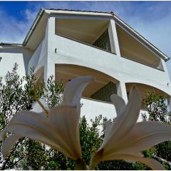 Apartments Purkovic