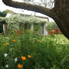 Studio au coeur de la petite camargue