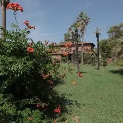Piaggetta B&B