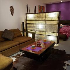 Sylvias art studio apt