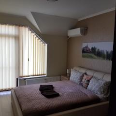 La Siesta Apartments Oradea