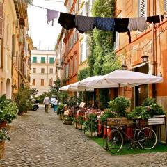 Panoramic Castle Apt Trastevere