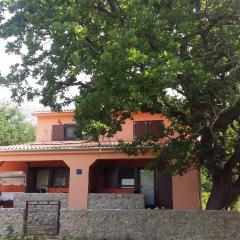 Studio apartman Hrast