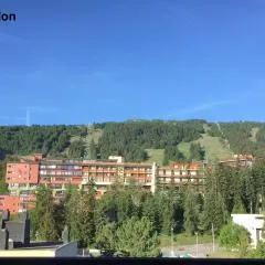 Appartement T4 esprit chalet jolie vue PRA LOUP 1600