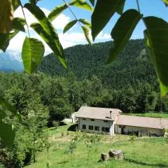 Bosco delle Rune ..un angolo di paradiso