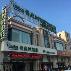 青皮樹上海市國際旅遊度假區羅山路地鐵站酒店