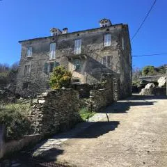 Appartement 2 chambres A Casa De Giovanni à Pietra-di-Verde en Haute-Corse