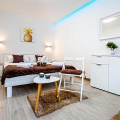 Apartment Nives in the City Center - Free Parking