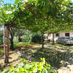 Apartments Biskupije 940