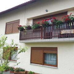 Apartman Petra & Tena