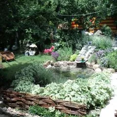 Lovely 1-bedroom apartment in Cholpon-Ata - Housity