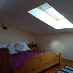 Apartments Davor