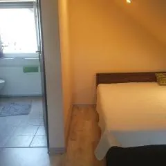 A i M