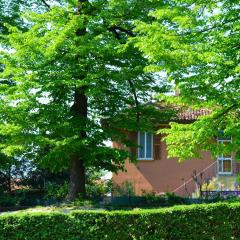 伊傑尼爾奈帕可住宿加早餐旅館