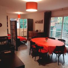 Grand appartement proche CHU