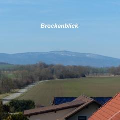 Ferienwohnung mit Brockenblick