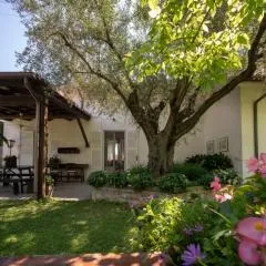 Trecentolivi B&b