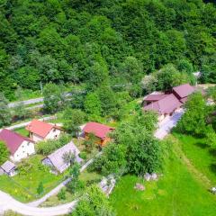 Pensiunea Lupul Dacic